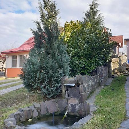 Вилла Casa Cu Fantana Borlesti Экстерьер фото