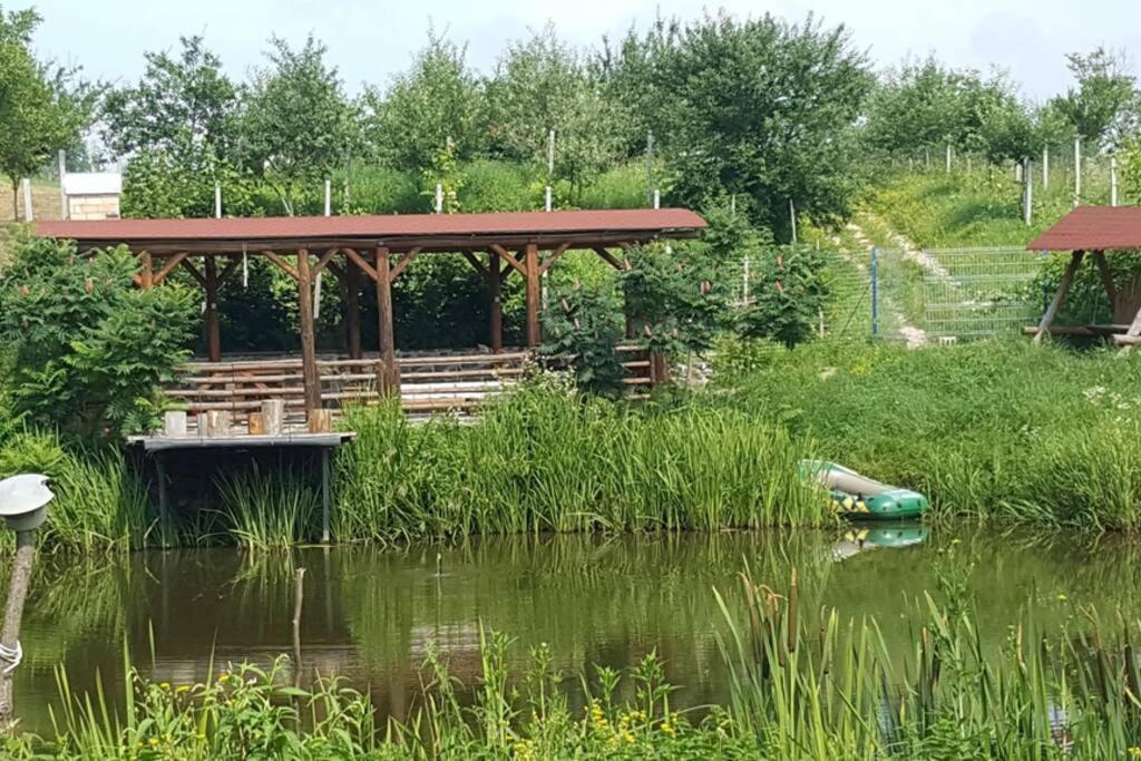 Вилла Casa Cu Fantana Borlesti Экстерьер фото