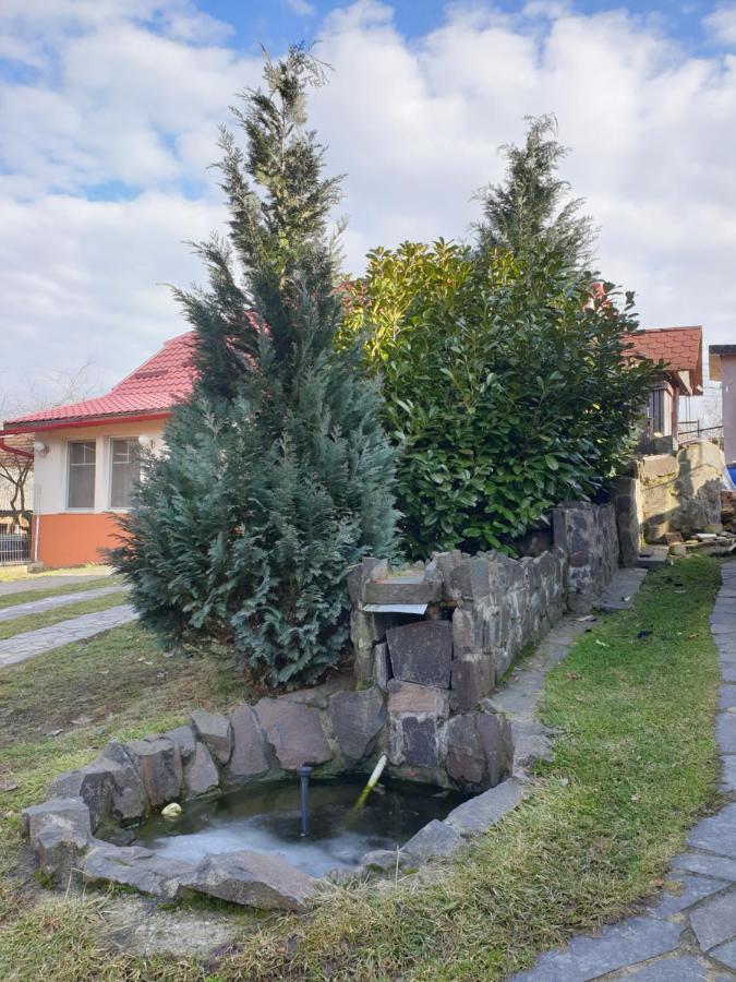 Вилла Casa Cu Fantana Borlesti Экстерьер фото